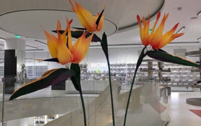 Un paraíso tropical con Toty